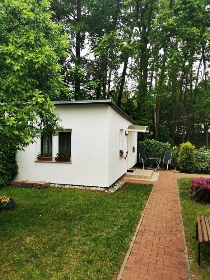 Ferienbungalow Im Igelbau บาเบอ ภายนอก รูปภาพ